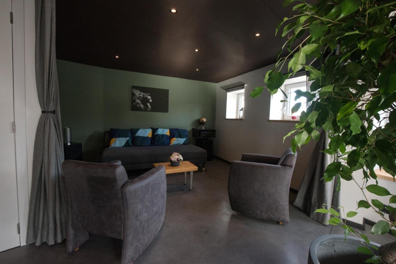 Froissart Loft Et Apartment