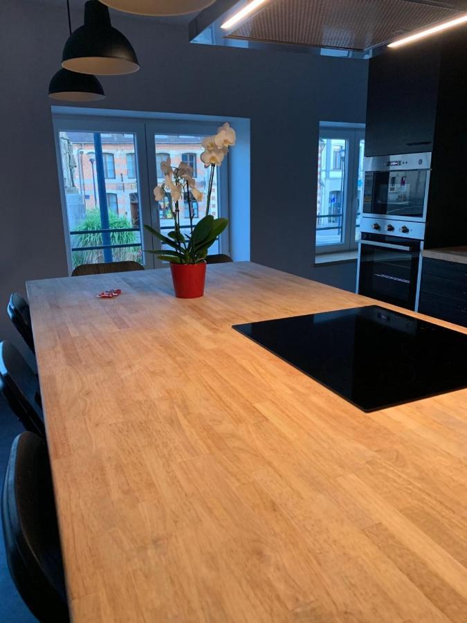 Froissart Loft Et Apartment *