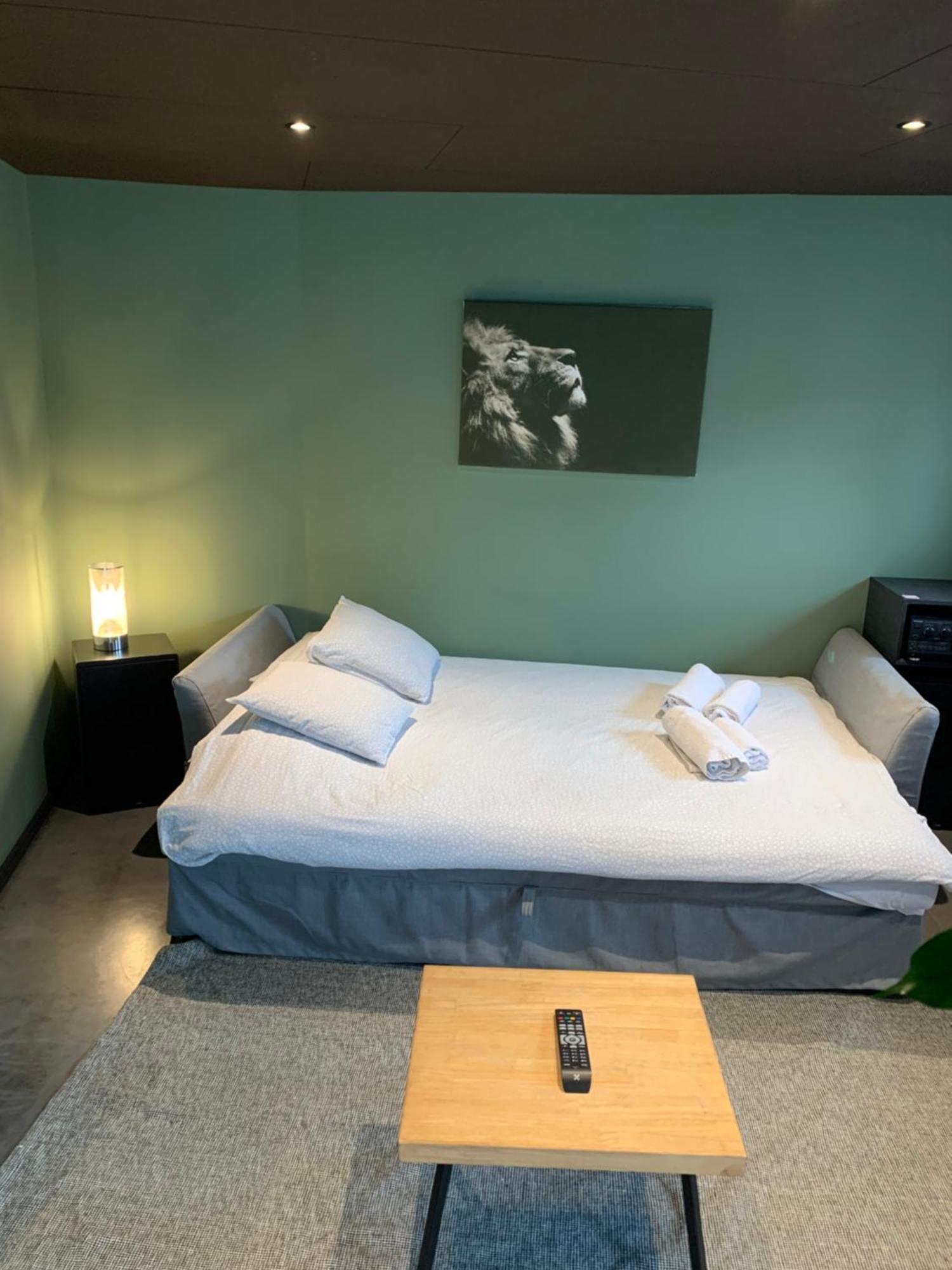 Appartement Froissart Loft *